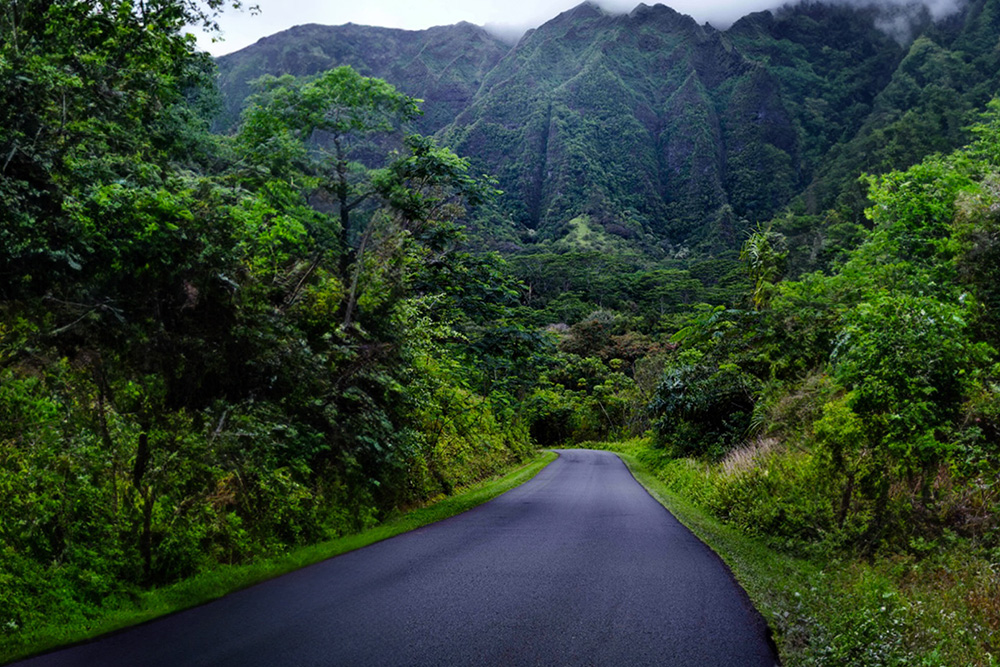 Road and mountains in background.