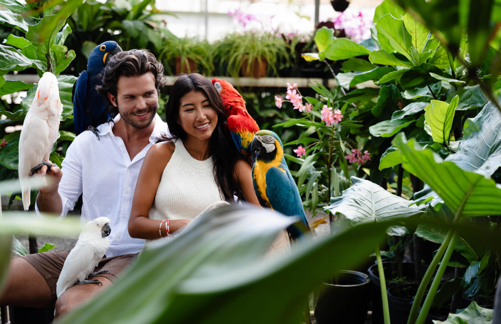 Maui Summer Campaign